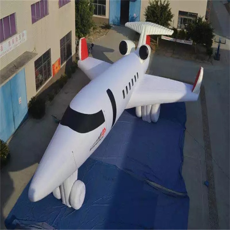 岳西充气模型飞机
